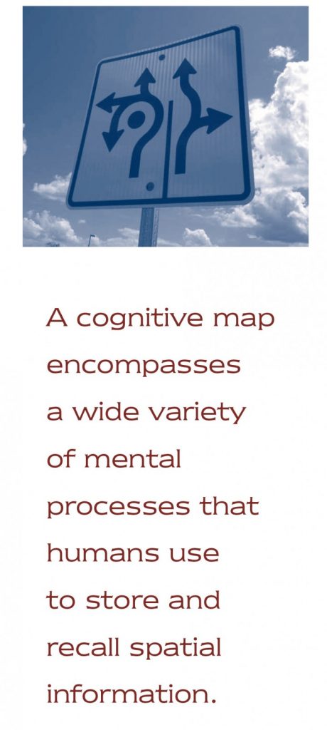 essay cognitive map