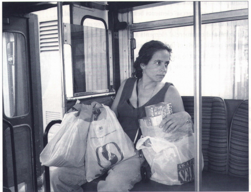 Food Access for the Transit Dependent